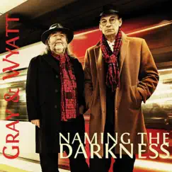 Naming the Darkness by Gray & Wyatt album reviews, ratings, credits