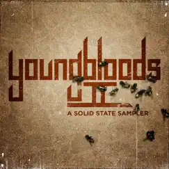 Youngbloods II: A Solid State Sampler by Various Artists album reviews, ratings, credits