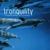 Tranquility album lyrics, reviews, download
