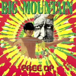 Free Up by Big Mountain album reviews, ratings, credits