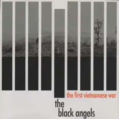 The First Vietnamese War - Single by The Black Angels album reviews, ratings, credits
