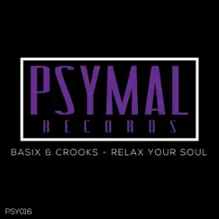 Relax Your Soul - Single by Basix & Crooks album reviews, ratings, credits