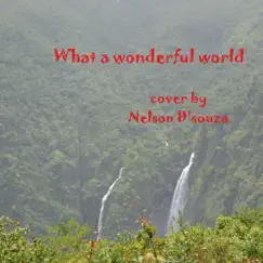What a Wonderful World - Single by Nelson D'souza album reviews, ratings, credits