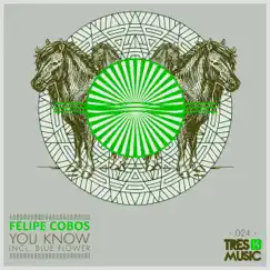 You Know - Single by Felipe Cobos album reviews, ratings, credits