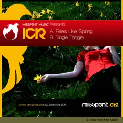 Feels Like Spring / Tingle Tangle - Single by ICR album reviews, ratings, credits