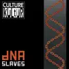 DNA Slaves album lyrics, reviews, download