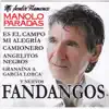 Mi Sentir Flamenco album lyrics, reviews, download