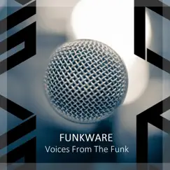 Voices from the Funk - EP by Funkware album reviews, ratings, credits