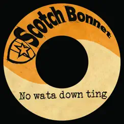 No Wata Down Ting - Single by Mungo's Hi Fi album reviews, ratings, credits