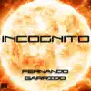 Incognito - Single album lyrics, reviews, download