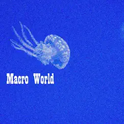 Macro World by Various Artists album reviews, ratings, credits
