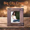 City Zipcode, Country Heart - EP album lyrics, reviews, download
