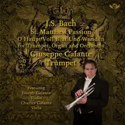 St. Matthew Passion, BWV 244: No. 54, O Haupt voll Blut und Wunden (Arr. for Trumpet, Organ and Orchestra) Song Lyrics
