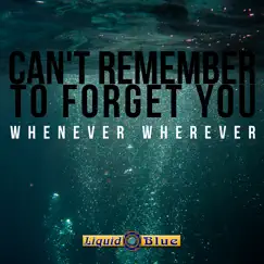 Can't Remember To Forget You - Single by Liquid Blue album reviews, ratings, credits