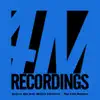 You Lied (Remixes) [feat. Marina Litvinova] - Single album lyrics, reviews, download