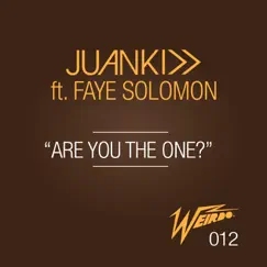 Are You the One? (feat. Faye Solomon) - Single by Juan Kidd album reviews, ratings, credits