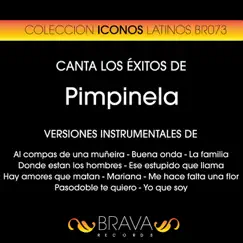 Canta los Éxitos de Pimpinela (Instrumental Versions) by Brava HitMakers album reviews, ratings, credits