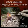 Campfire, Bird Song and Crickets (90 Minutes) album lyrics, reviews, download