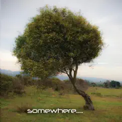 Somewhere by Chris Jensen album reviews, ratings, credits