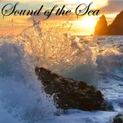 Sound of the Sea – New Age Amazing Music with Sea & Ocean Waves Relaxing Nature Sounds by Nature Sounds Nature Music album reviews, ratings, credits
