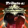 Tributo a Pepe Aguilar & Alejandro Fernández album lyrics, reviews, download