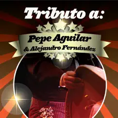 Tributo a Pepe Aguilar & Alejandro Fernández by Hernán Carchak Band album reviews, ratings, credits