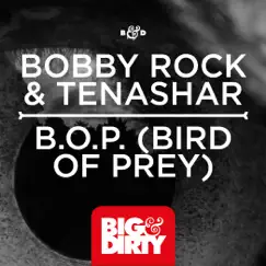 B.O.P. (BIRD of PREY) - Single by Bobby Rock & Tenashar album reviews, ratings, credits