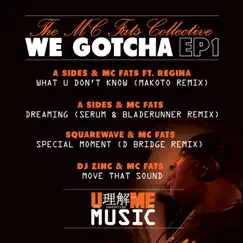 We Gotcha 1 - EP by MC Fats Collective album reviews, ratings, credits