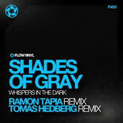 Whispers In the Dark (Tomas Hedberg Remix) Song Lyrics