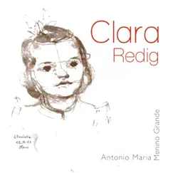 Menino Grande - Antonio Maria by Clara Redig album reviews, ratings, credits