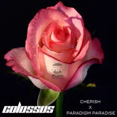 Cherish / Paradigm Paradise - Single by Colossus album reviews, ratings, credits