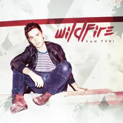 Wildfire - Single by Sam Tsui album reviews, ratings, credits