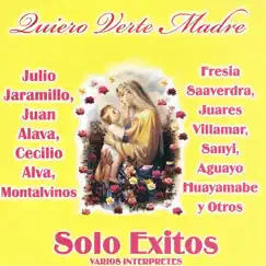 Quiero Verte Madre by Various Artists album reviews, ratings, credits