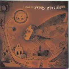 Dead Bees On a Cake by David Sylvian album reviews, ratings, credits