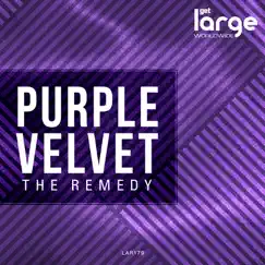 The Remedy - Single by Purple Velvet album reviews, ratings, credits