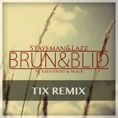 Brun og blid (TIX Remix) Song Lyrics