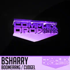 Boomerang / Cudgel - Single by Bsharry album reviews, ratings, credits