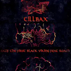 Tillbax (feat. Roach) Song Lyrics