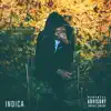 Indica album lyrics, reviews, download