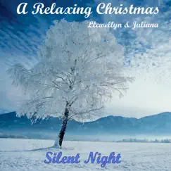 A Relaxing Christmas - Silent Night - Single by Llewellyn & Juliana album reviews, ratings, credits