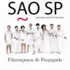 São S P (feat. Tim Bernardes) - Single album lyrics, reviews, download