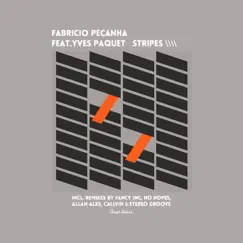 Stripes (Stereo Groove Remix) [feat. Yves Paquet] Song Lyrics