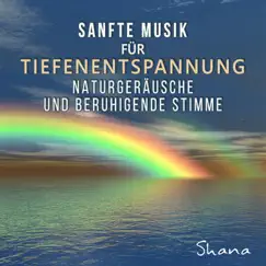 Wohlfühlmusik und Klangtherapie (Instrumental Musik) Song Lyrics