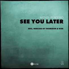 See You Later - Single by Miguel Rendeiro album reviews, ratings, credits