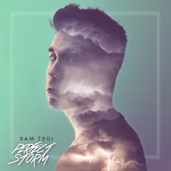 Perfect Storm - Single by Sam Tsui album reviews, ratings, credits