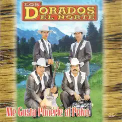 Me Gusta Ponerle al Polvo by Los Dorados del Norte album reviews, ratings, credits