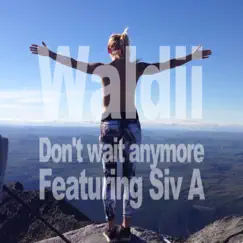 Don't Wait Anymore (feat. Siv a) - Single by Waldii album reviews, ratings, credits