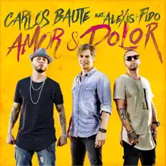 Amor y Dolor (feat. Alexis & Fido) Song Lyrics