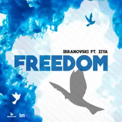 Freedom (feat. Ziya) Song Lyrics