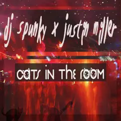 Cats in the Room (DJ Spunky Dub Mix) Song Lyrics